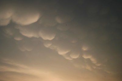 http://www.mavs-wetterbilder.de/Chasings/Mammatuswolken/250507%20014w.jpg