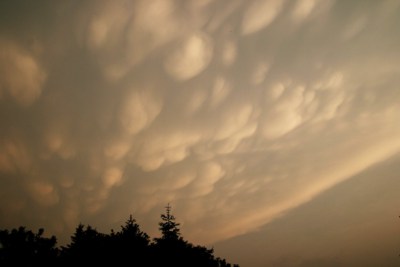 http://www.mavs-wetterbilder.de/Chasings/Mammatuswolken/250507%20032k.jpg