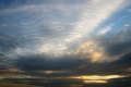 161106_Undulatus.jpg