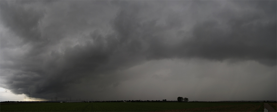 Shelf_Panorama1.jpg
