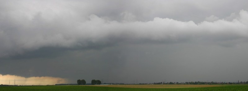 Boenw110806_005a.jpg