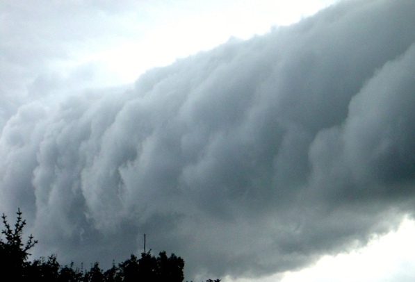 Shelfcloud_2.jpg