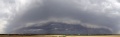 Shelf_37_44.jpg