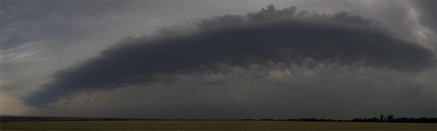 Shelf_Panorama2.jpg