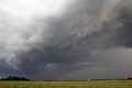 Shelf_079.jpg
