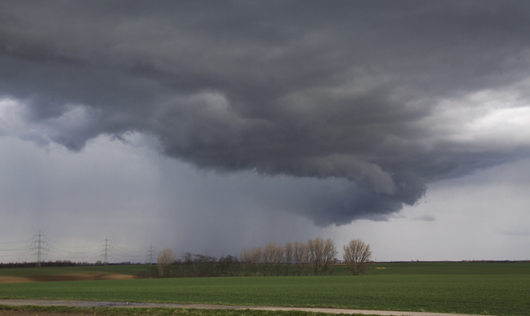 Boenfront_12042013_061a.jpg