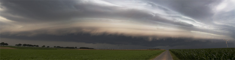 Shelf_54_61_Panorama1.jpg