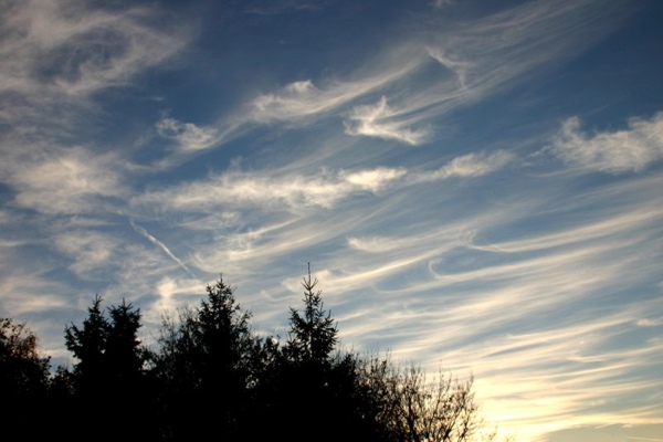 Bilder_261105_002.jpg