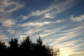 Bilder_261105_002.jpg