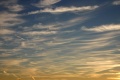 Bilder_261105_003.jpg