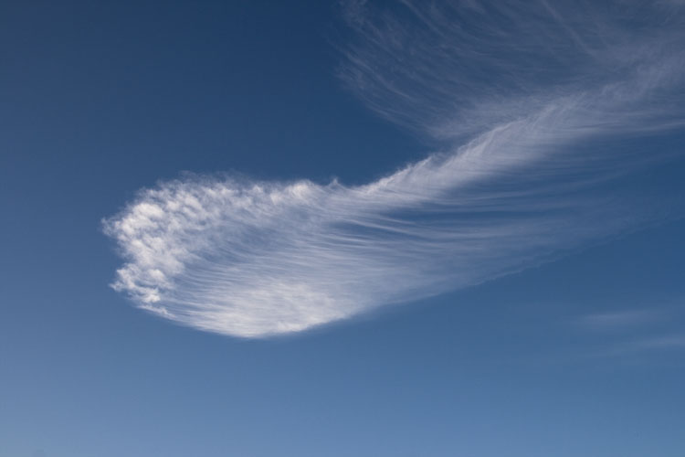 Cirrus_2.jpg