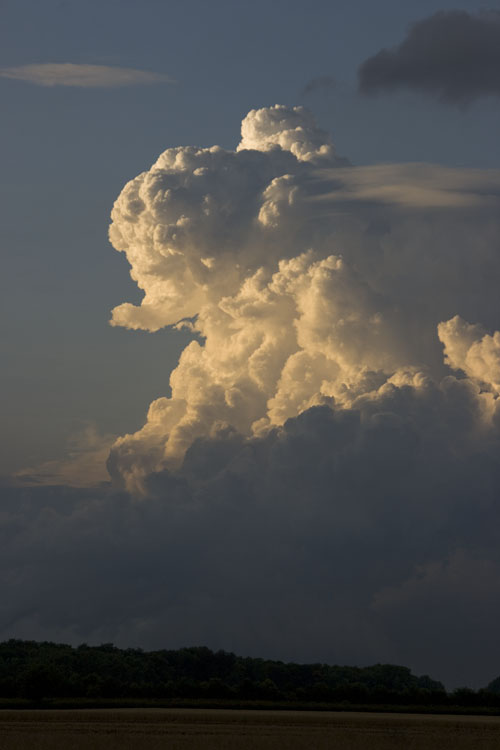 Cucon_019.jpg