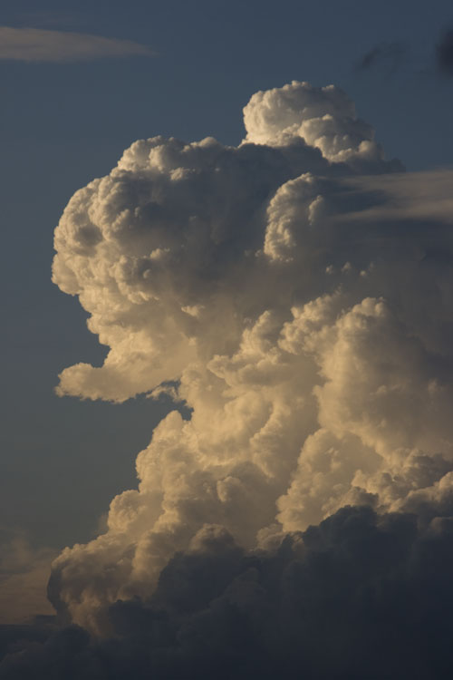 Cucon_020.jpg
