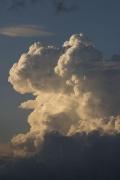 Cucon_026.jpg
