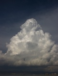 Cucon_048.jpg