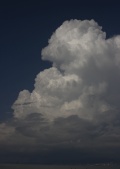 Cucon_071.jpg