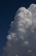 Cucon_153.jpg