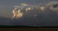 cucon_007.jpg