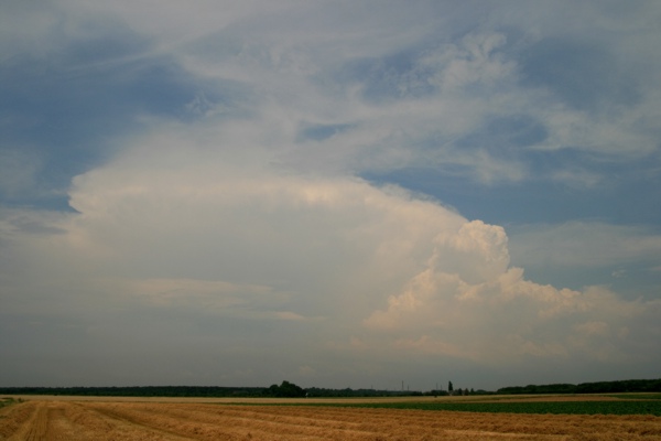 260708cbk.jpg