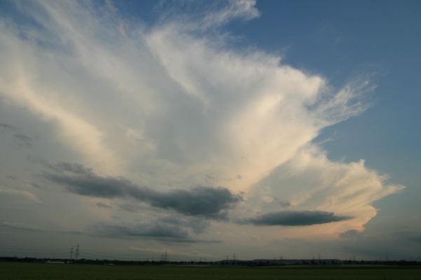 ACB_220608.jpg