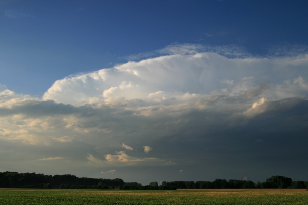 AG_220608.jpg
