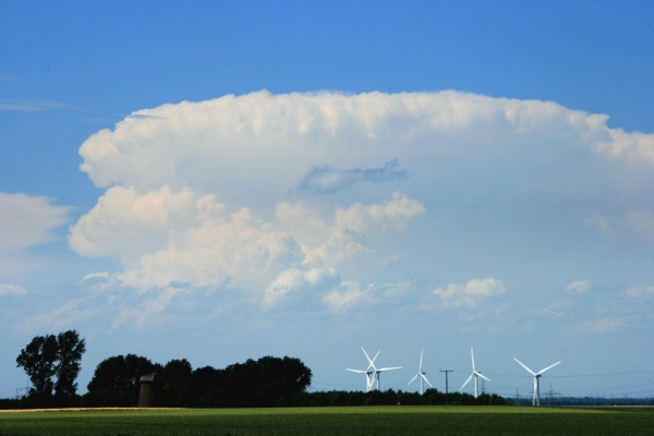 CB1_220608.jpg