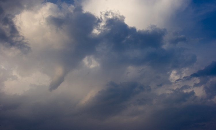 Funnel_9208.jpg