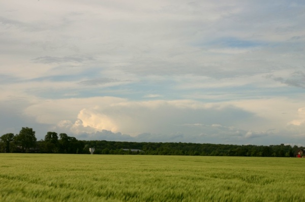 240506_003a.jpg