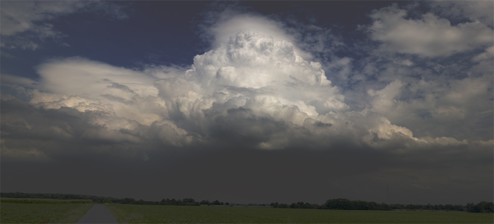 01082010_Q_Panorama1.jpg