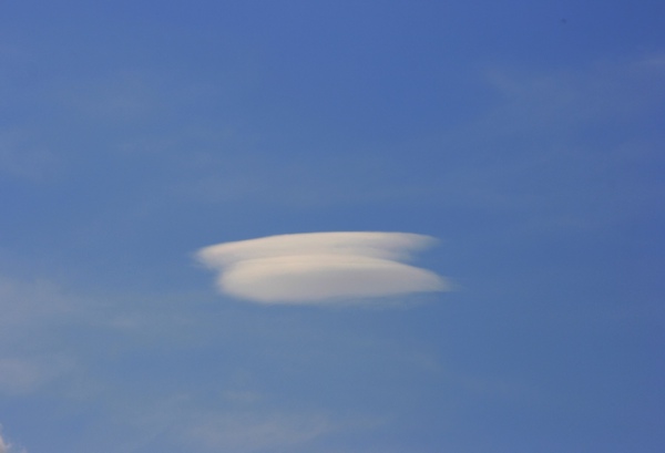 Lentiscularis_200408.jpg
