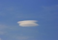 Lentiscularis_200408.jpg