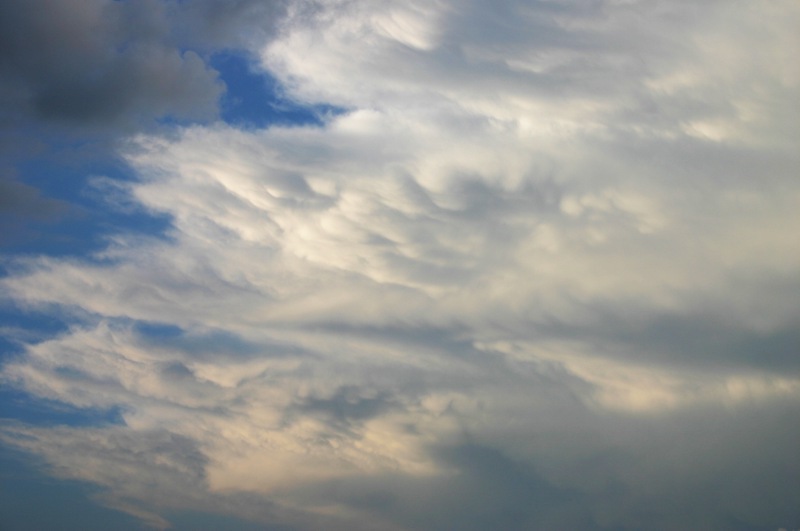 010806a_044.jpg