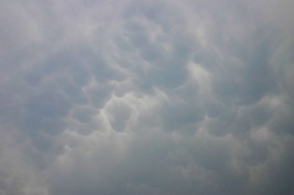 260706_020a.jpg