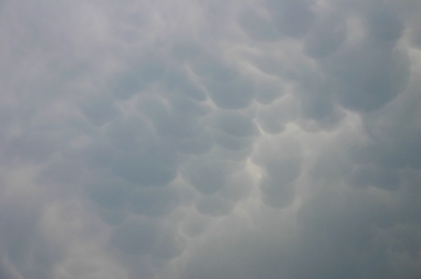 260706_022a.jpg