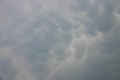 260706_022a.jpg