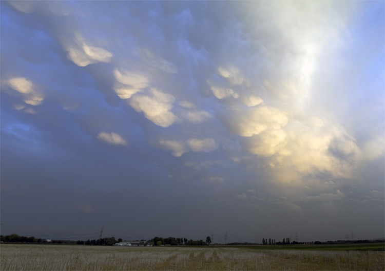3_15_Panorama1.jpg