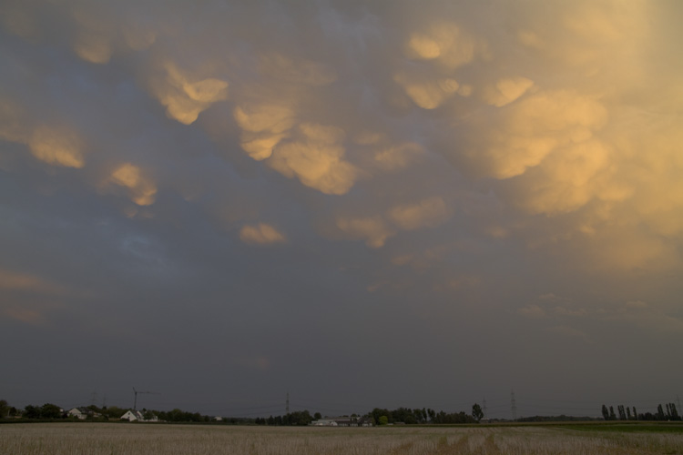Mammatus_016.jpg