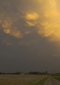Mammatus_032.jpg