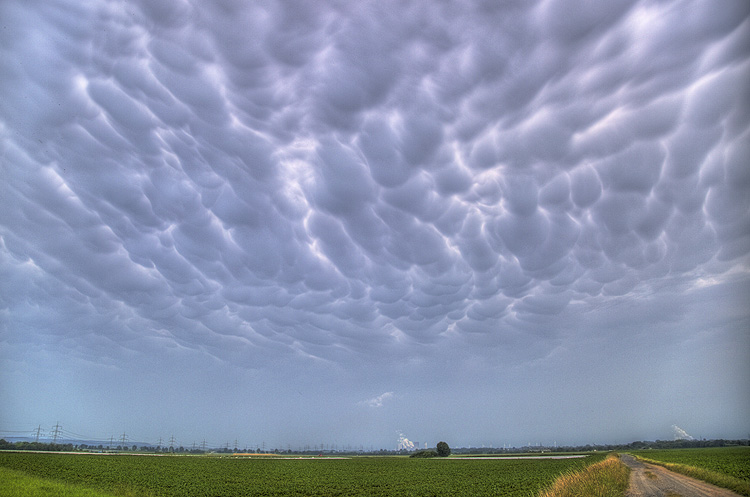 Mamatus_002.jpg