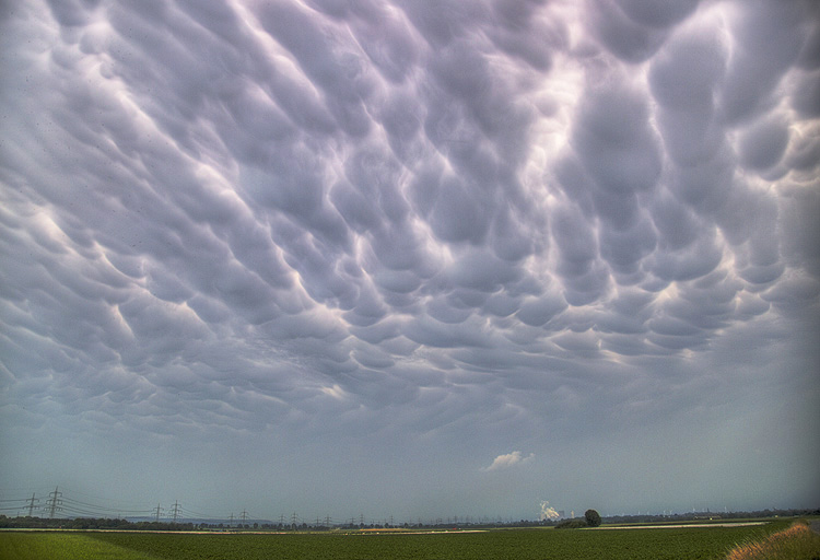 Mamatus_004.jpg