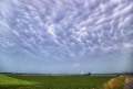 Mamatus_001.jpg