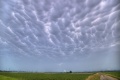 Mamatus_002.jpg