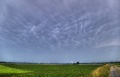 Mamatus_003.jpg