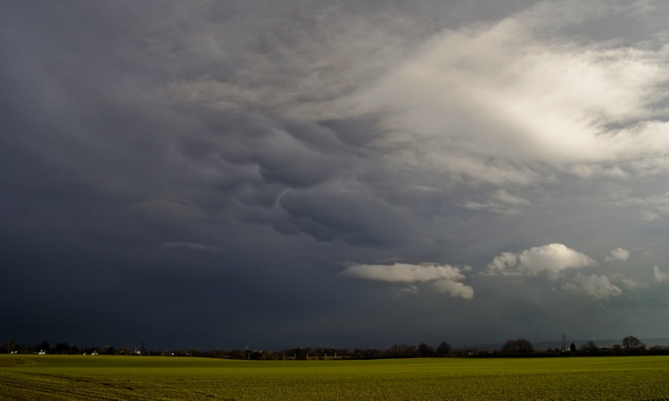 Mammatus_250309.jpg
