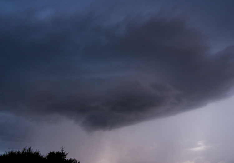 Meso.jpg
