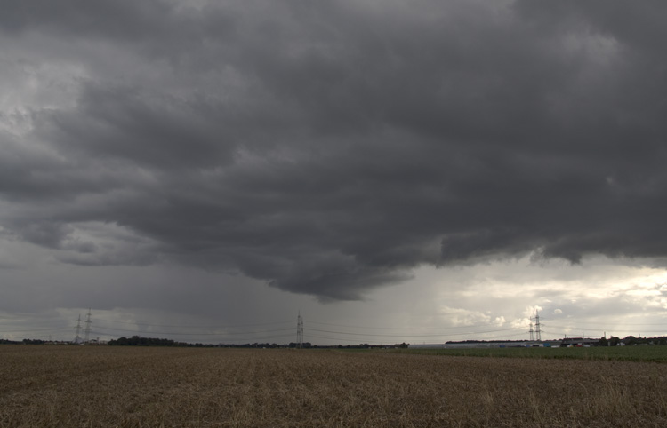 Meso_001.jpg