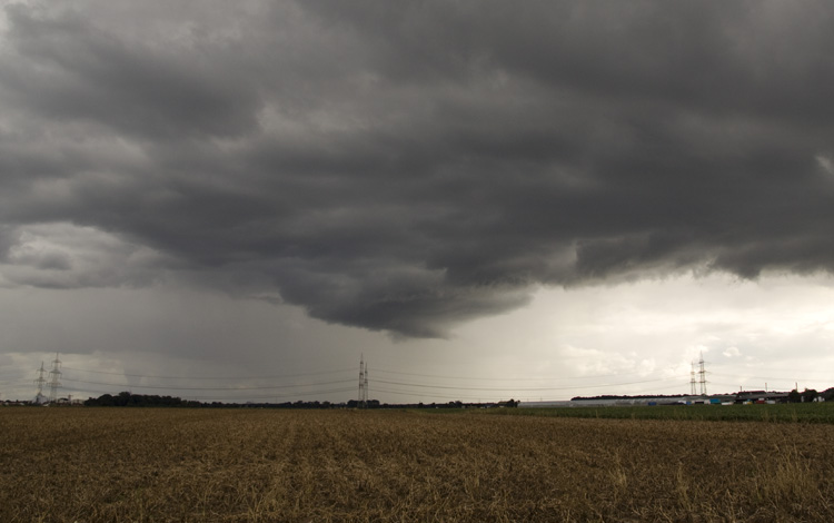 Meso_002.jpg