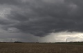 Meso_001.jpg
