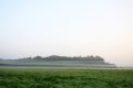 Nebel151006_008.jpg