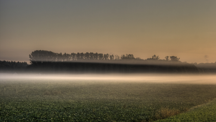 Bodennebel_056_7_8.jpg